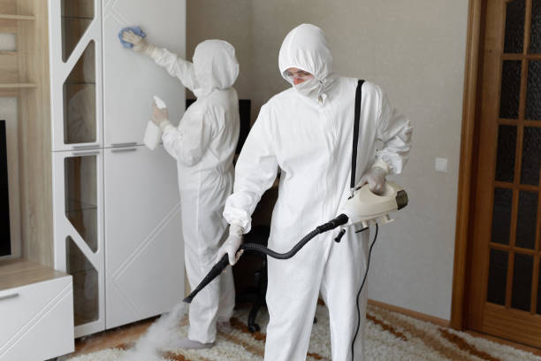 East Flat Rock, NC Mold Removal Company