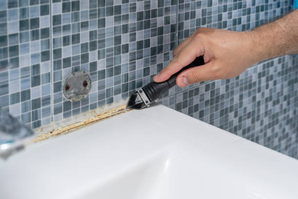 Best Mold Cleaning Services  in East Flat Rock, NC
