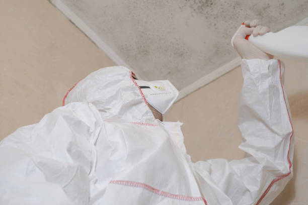Best Certified Mold Removal  in East Flat Rock, NC