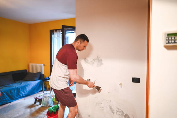 East Flat Rock, NC Mold Removal Company